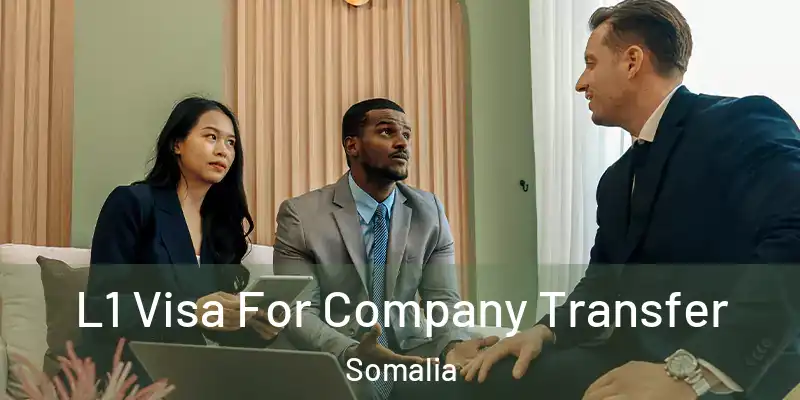  L1 Visa For Company Transfer Somalia