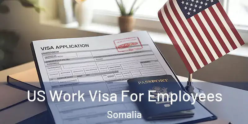  US Work Visa For Employees Somalia